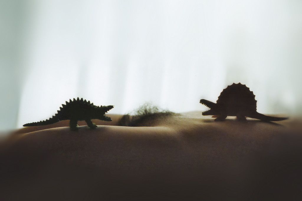 1997 Dinos_jpg-1358184079