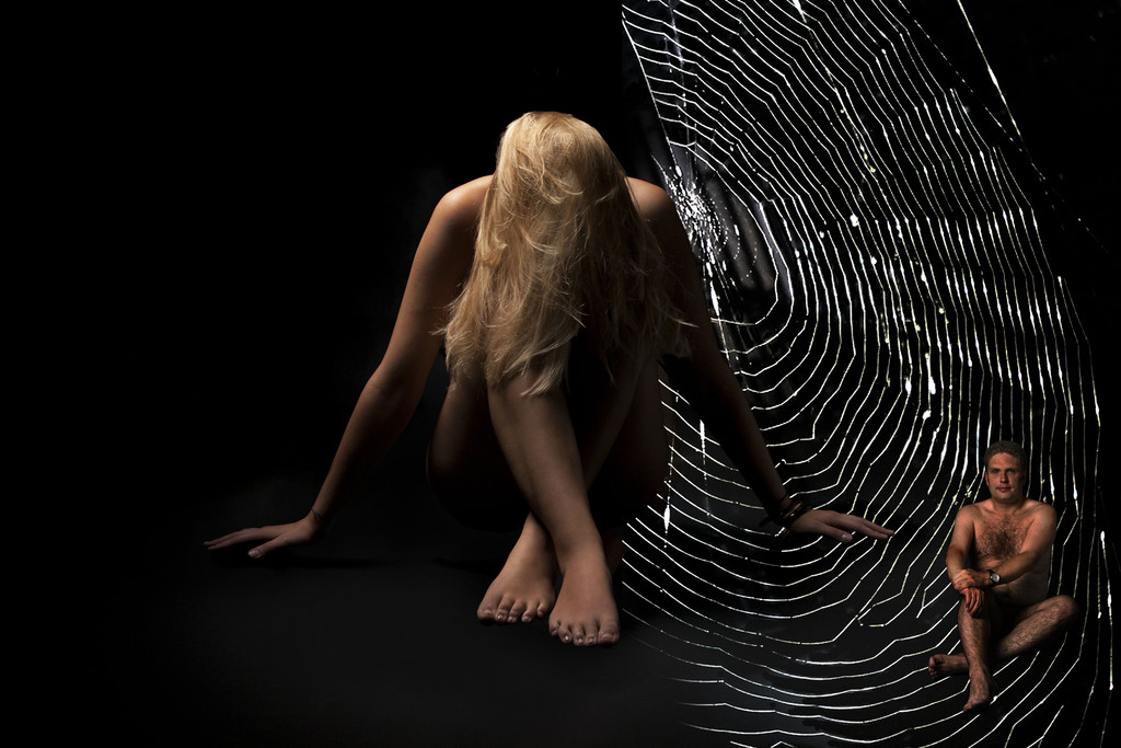 2012 im Spinnennetz_jpg-1358184290