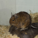 DSC00009_JPG-1358190598