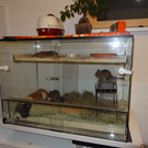 DSC00008_JPG-1358190651