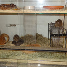 DSC00013_JPG-1358190769