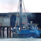    Pilotierungsarbeiten 