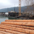 DSCN3670_JPG-1358205326