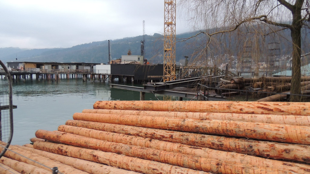 DSCN3670_JPG-1358205326