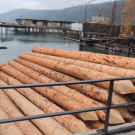 DSCN3669_JPG-1358205322