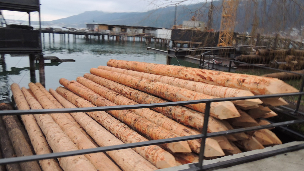 DSCN3669_JPG-1358205322