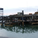 DSCN3651_JPG-1358205310