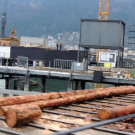 DSCN3672_JPG-1358205330