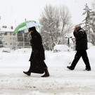 IBD1125-20130114.jpg