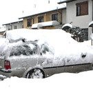 IBD1132-20130114.jpg