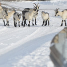 ABD0121-20130114.jpg