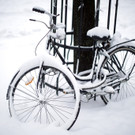 ABD0077-20130114.jpg