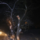 16012013vustleonhardde01001aktivnews_89.JPG