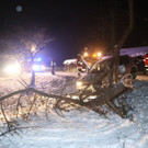 16012013vustleonhardde01001aktivnews_11.JPG