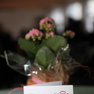 Pr__sentation Veranstaltungszentrum zemma in Bludenz J__nner 2013 2_jpg-1358328768