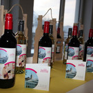 Pr__sentation Veranstaltungszentrum zemma in Bludenz J__nner 2013 15_jpg-1358328823