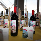 Pr__sentation Veranstaltungszentrum zemma in Bludenz J__nner 2013 37_jpg-1358328916