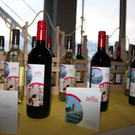 Pr__sentation Veranstaltungszentrum zemma in Bludenz J__nner 2013 40_jpg-1358328930