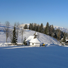 Alpwegkopf_Faschingsdienstag 002.JPG