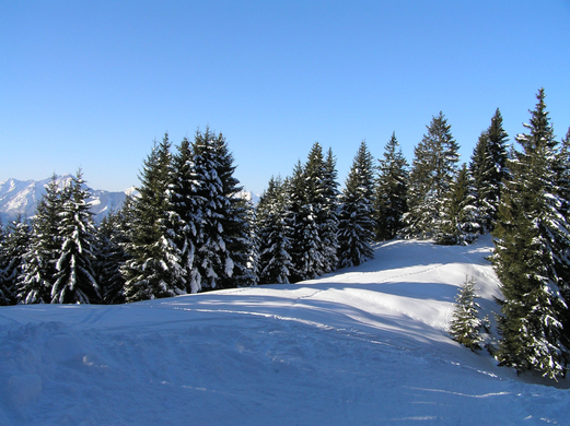 Alpwegkopf_Faschingsdienstag 010.JPG