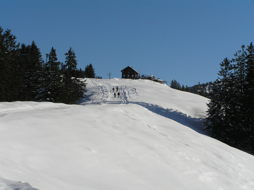 Alpwegkopf_Faschingsdienstag 011.JPG
