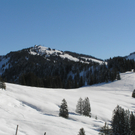 Alpwegkopf_Faschingsdienstag 018.JPG