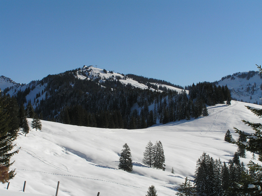 Alpwegkopf_Faschingsdienstag 018.JPG