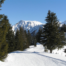 Alpwegkopf_Faschingsdienstag 019.JPG