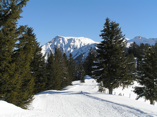 Alpwegkopf_Faschingsdienstag 019.JPG