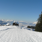 Alpwegkopf_Faschingsdienstag 020.JPG