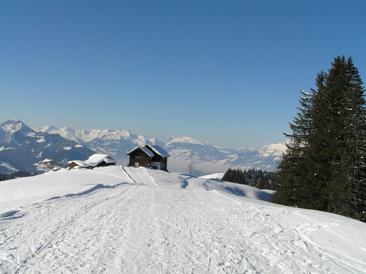 Alpwegkopf_Faschingsdienstag 020.JPG