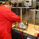 normal_16012013fmt_auto_zum_mw-2.jpg