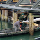 DSCN3665_JPG-1358379777