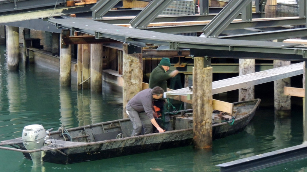 DSCN3665_JPG-1358379777