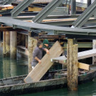 DSCN3666_JPG-1358379781