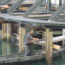 DSCN3667_JPG-1358379785