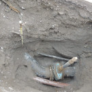 DSCN3634_JPG-1358379974