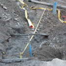 DSCN3985_JPG-1358381011