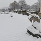 DSC_4067.JPG