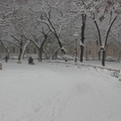 IMG_7927.JPG