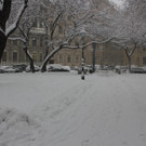 IMG_7929.JPG