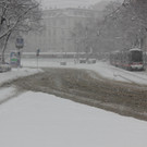 IMG_7935.JPG