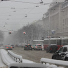IMG_7944.JPG