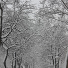 IMG_7947.JPG