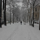 IMG_7948.JPG