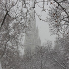 IMG_7959.JPG