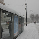 IMG_7960.JPG