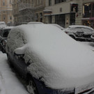 IMG_7967.JPG