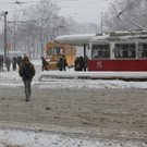 IMG_7982.JPG