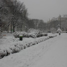 IMG_7989.JPG